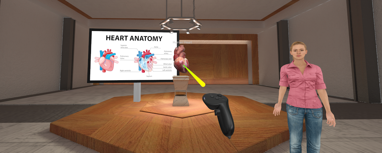 Runtime interaction controls