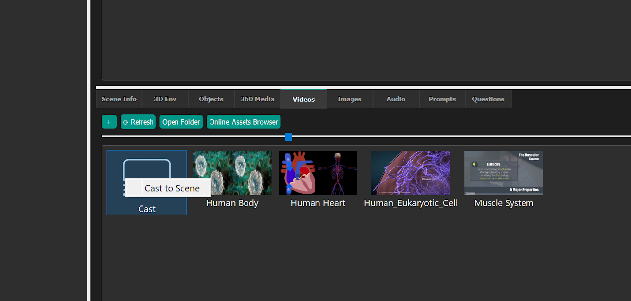 Cast asset in the Videos tab with Cast to Scene selected