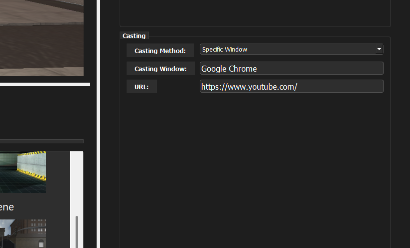 Casting options for a specific window or URL