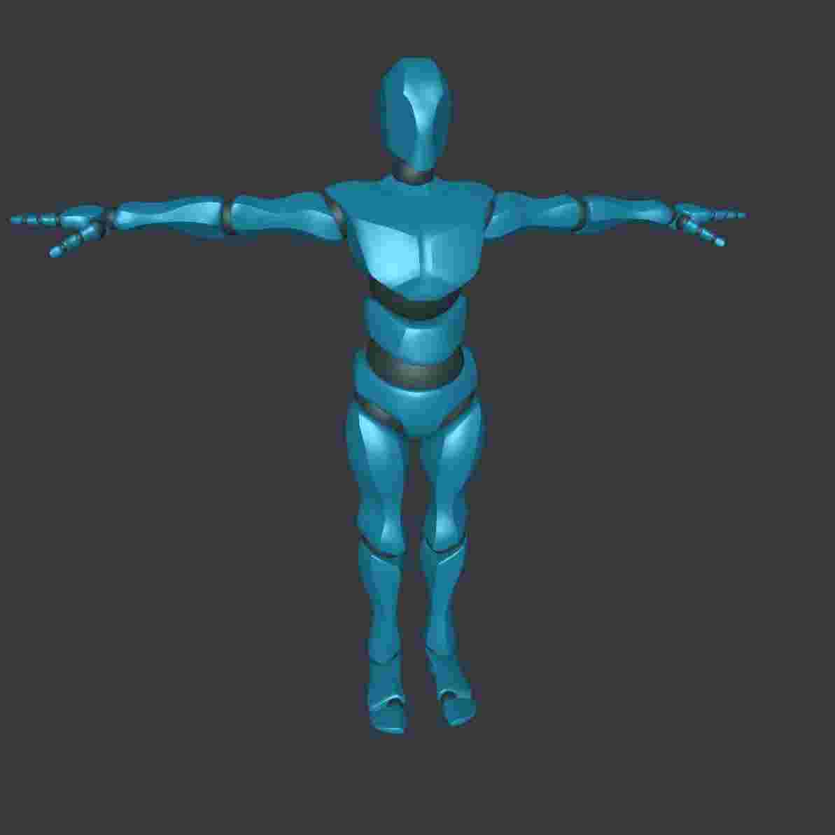 Mixamo Bot