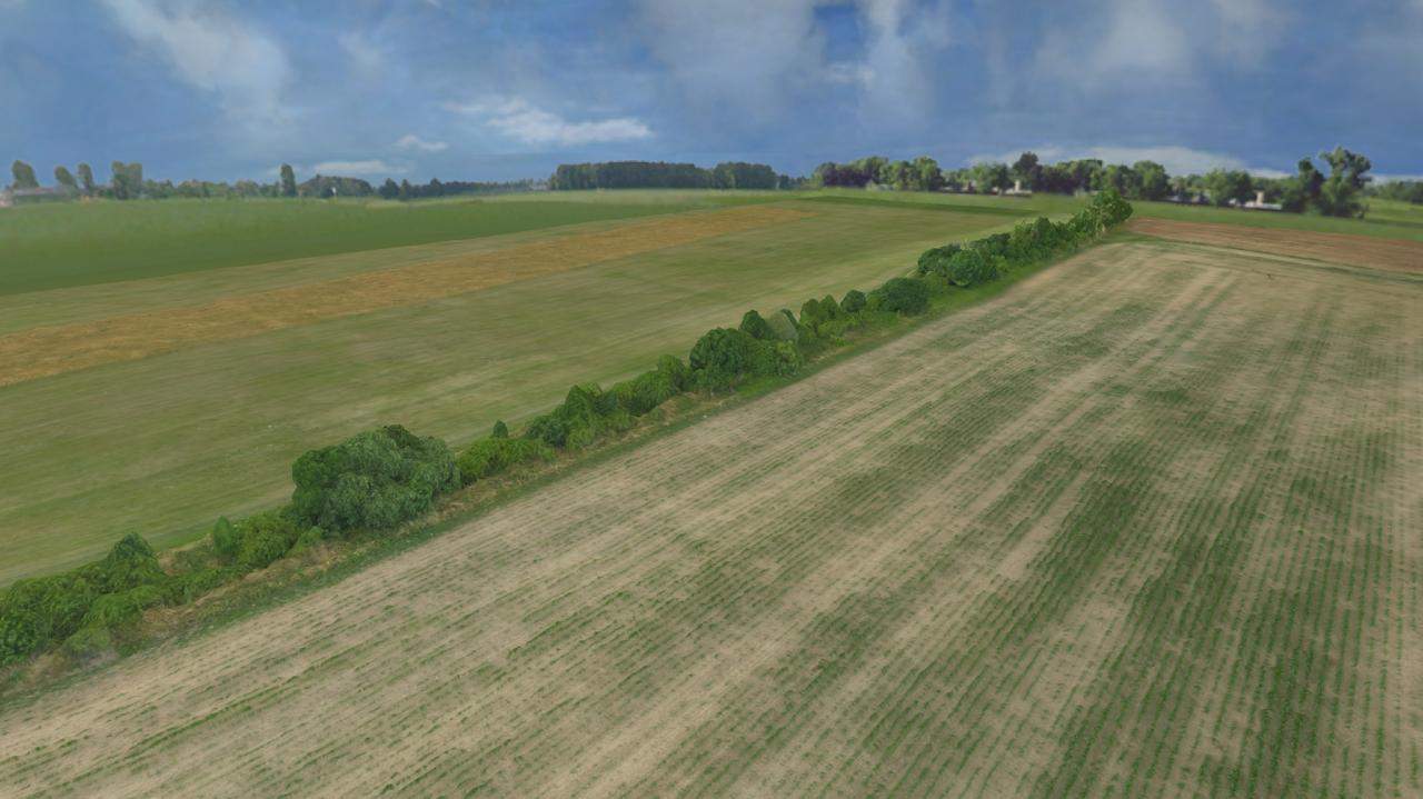 Ground Grass Thumbnail