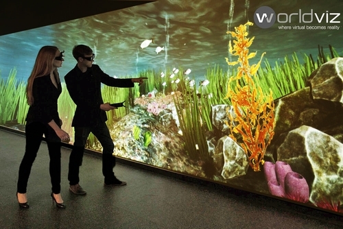 Vizmove Projection VR